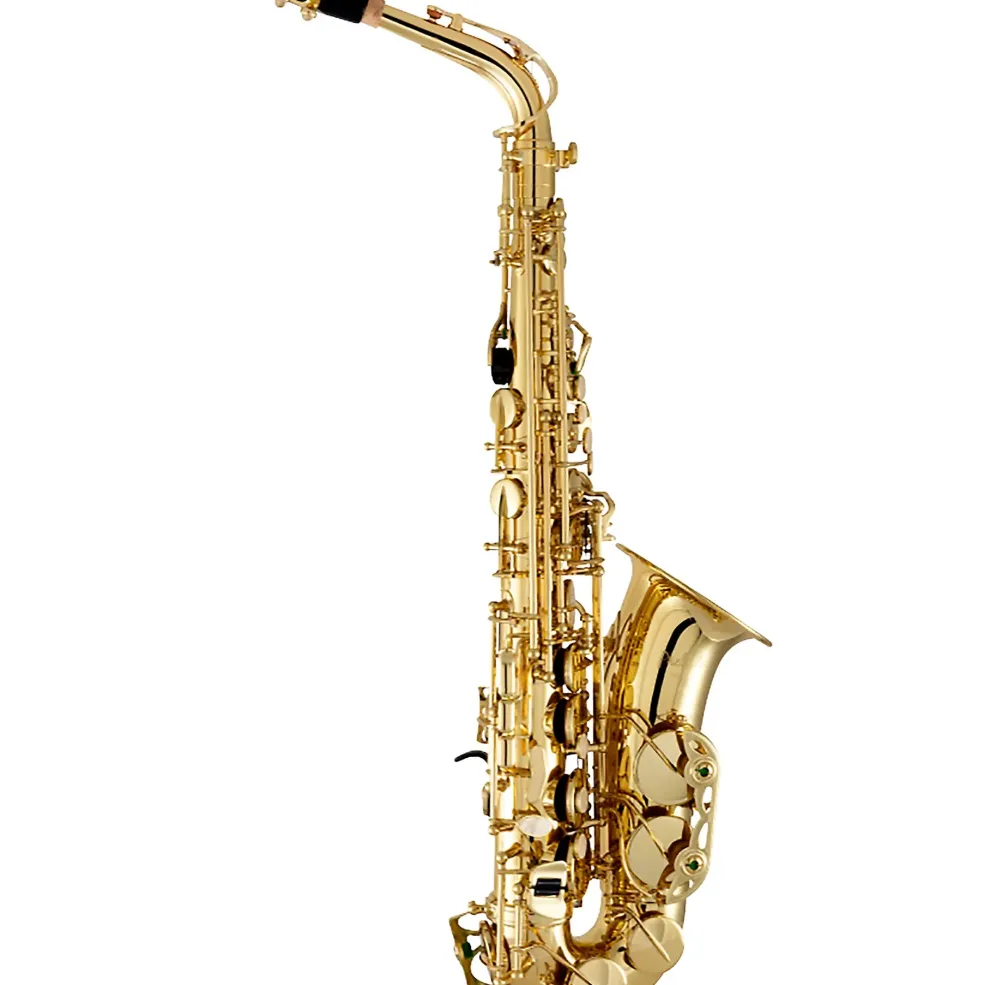Prelude by Conn-Selmer PAS111 Alto Saxophone Outfit Lacquer Yellow Brass Keys