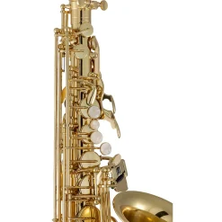 Prelude by Conn-Selmer PAS111 Alto Saxophone Outfit Lacquer Yellow Brass Keys