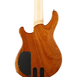 PRS Grainger 10-Top 5-String Bass Eriza Verde