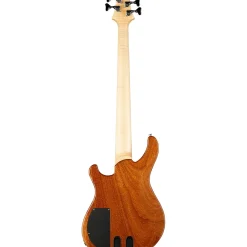 PRS Grainger 10-Top 5-String Bass Eriza Verde