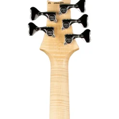PRS Grainger 10-Top 5-String Bass Eriza Verde