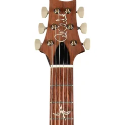 PRS Paul's Guitar Electric Guitar Red Tiger