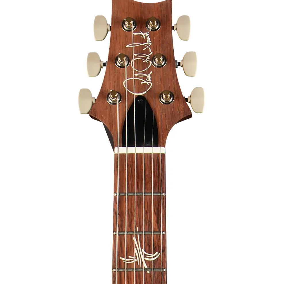 PRS Paul's Guitar Electric Guitar Red Tiger