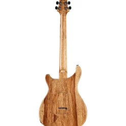 PRS Private Stock Modern Eagle V Curly Maple Top & Ebony Fretboard with Pattern Neck Electric Guitar Laguna Dragon's Breath