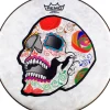 Remo Jose Pasillas ArtBEAT Artist Collection Drum Head 14 in.
