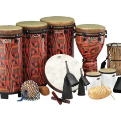 Remo World Music Drumming Packages Package B - 44 Instruments