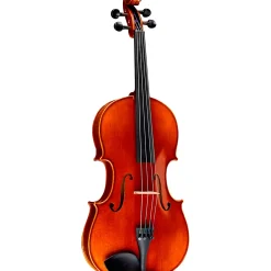 Ren Wei Shi Academy II Series Violin Outfit 1/4