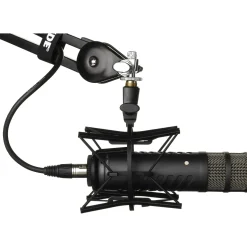 RODE Procaster Broadcast Quality Dynamic Microphone