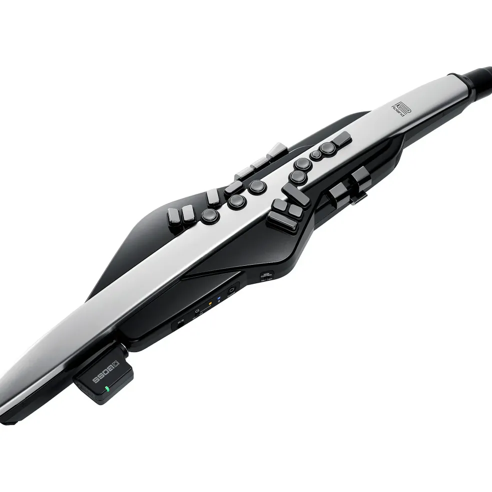 Roland AE-30 Aerophone Pro
