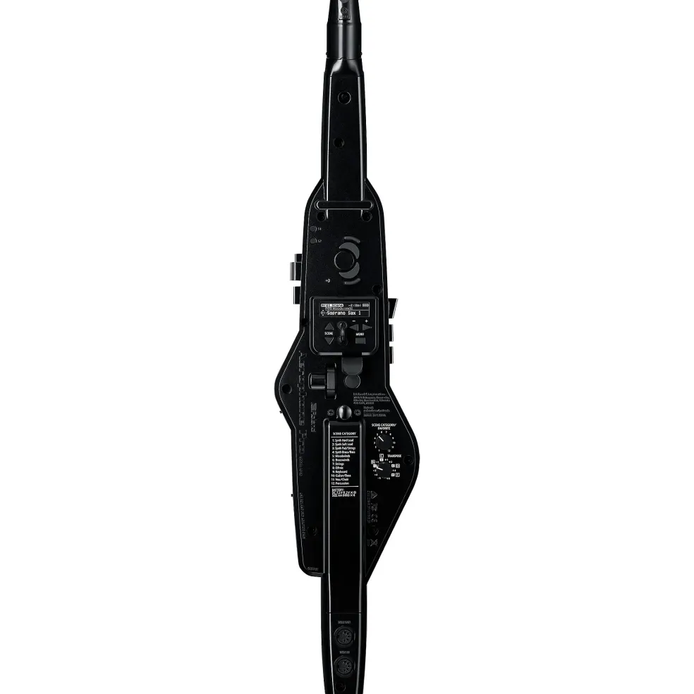 Roland AE-30 Aerophone Pro