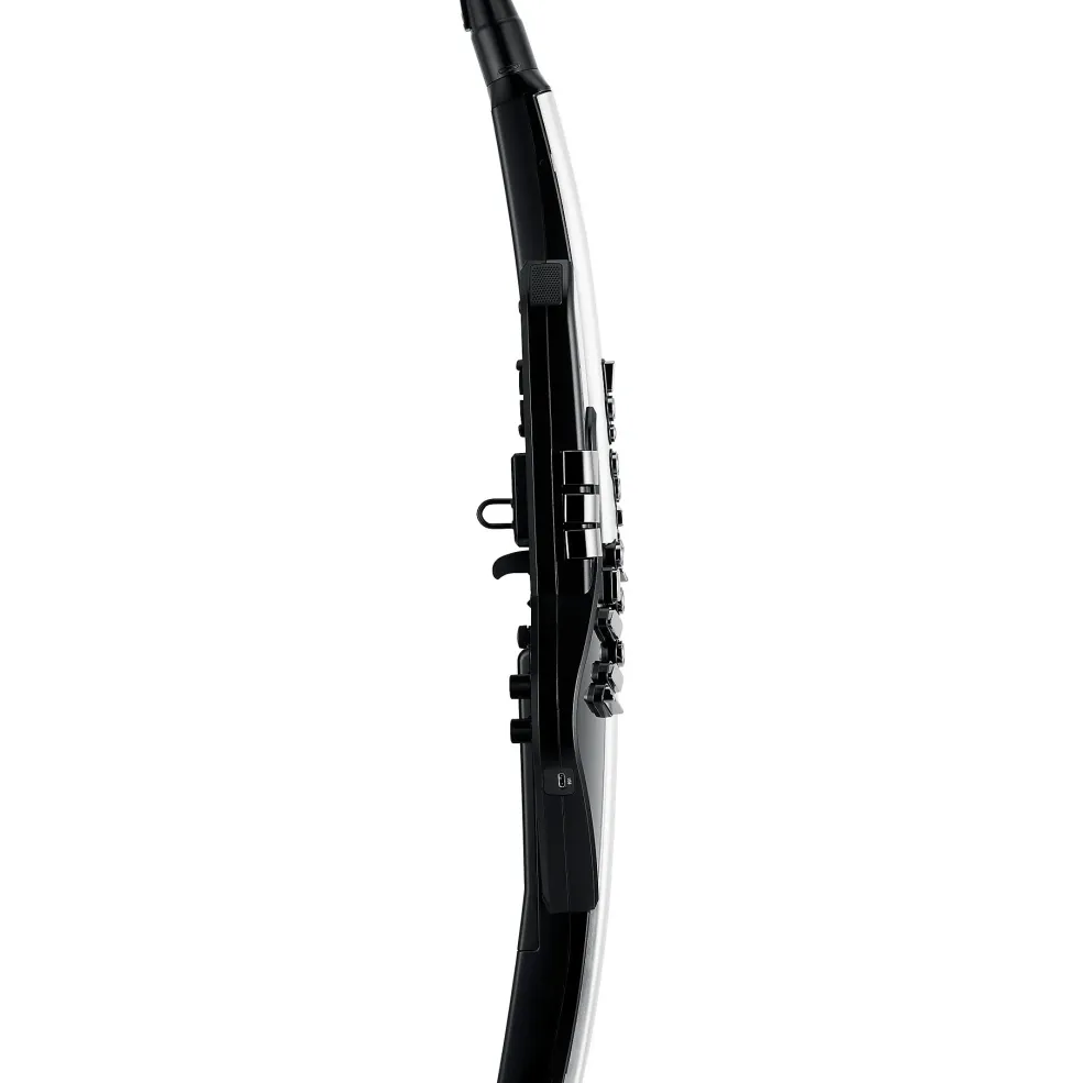 Roland AE-30 Aerophone Pro