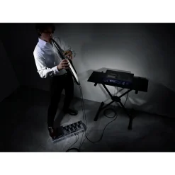 Roland AE-30 Aerophone Pro