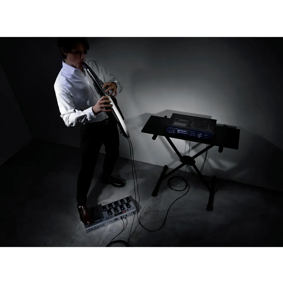 Roland AE-30 Aerophone Pro