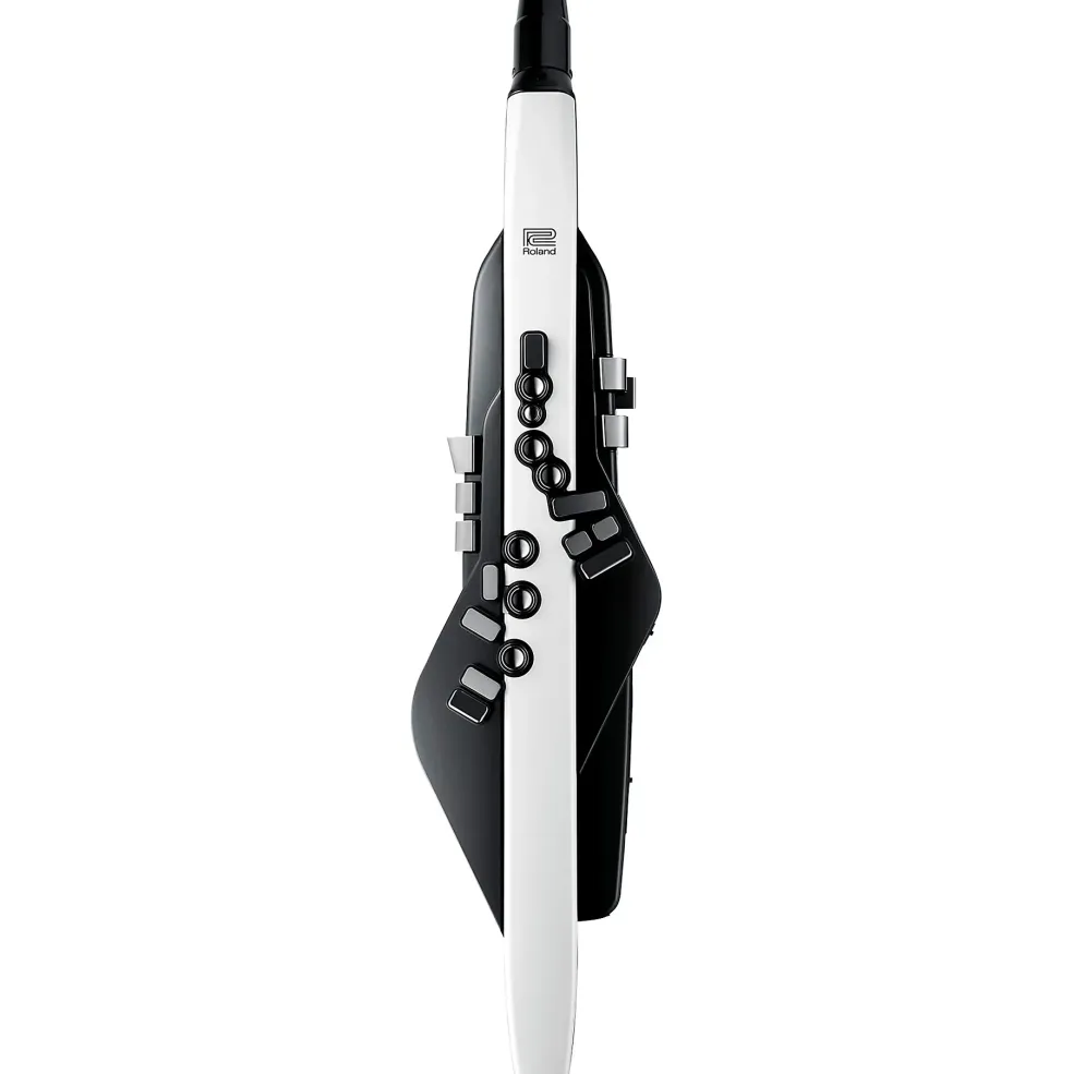 Roland Aerophone AE-20 Digital Wind Instrument