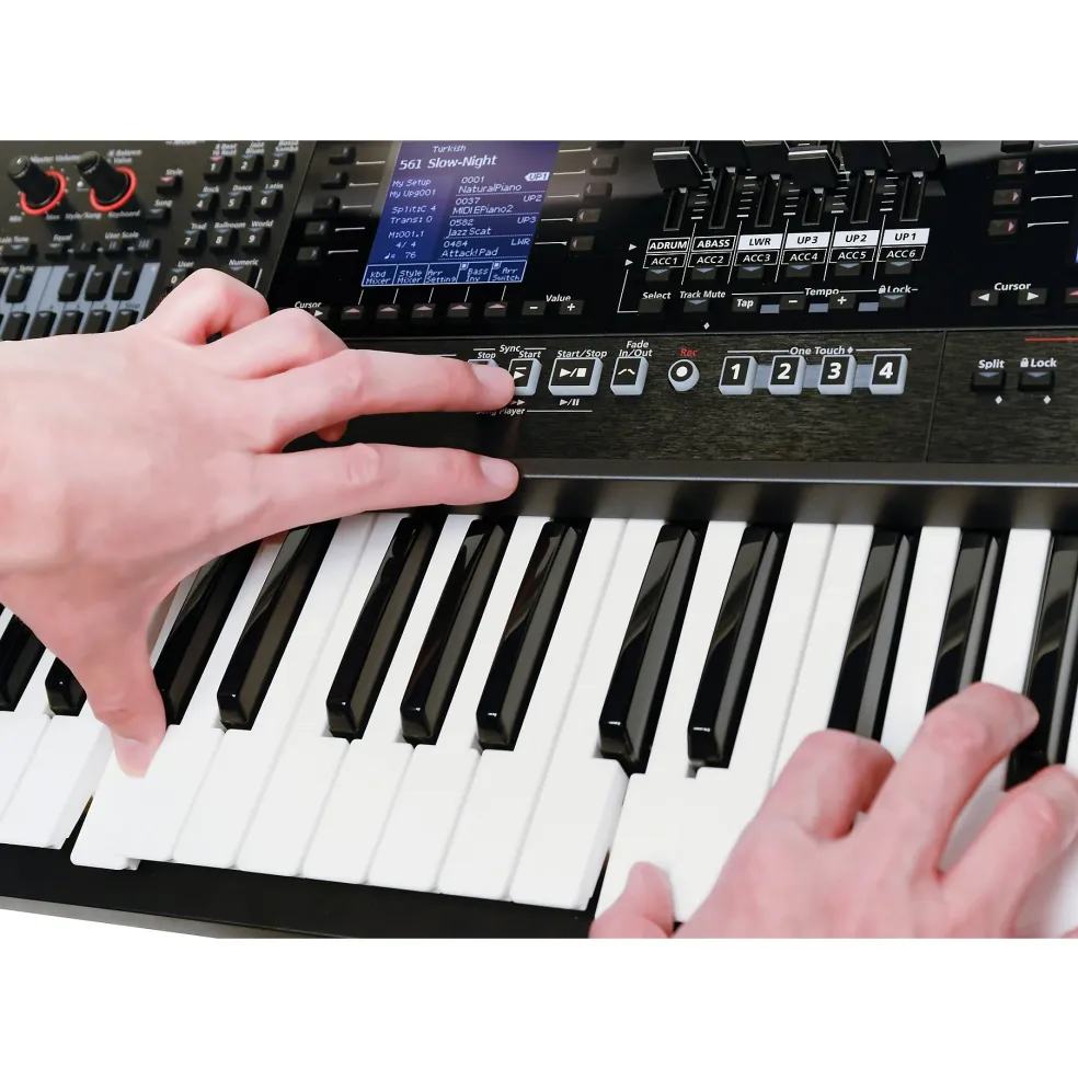 Roland E-A7 Arranger Keyboard Black