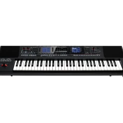 Roland E-A7 Arranger Keyboard Black