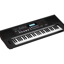 Roland E-X50 Arranger Keyboard Black
