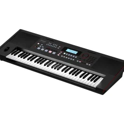 Roland E-X50 Arranger Keyboard Black