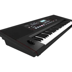Roland E-X50 Arranger Keyboard Black