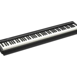 Roland FP-10 Digital Piano