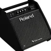 Roland PM-100 V-Drum Speaker System