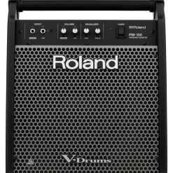 Roland PM-100 V-Drum Speaker System