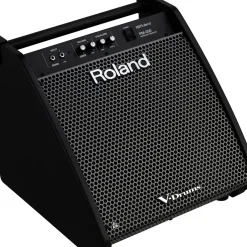 Roland PM-200 V-Drum Speaker System