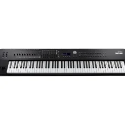 Roland RD-2000 EX Digital Stage Piano Black
