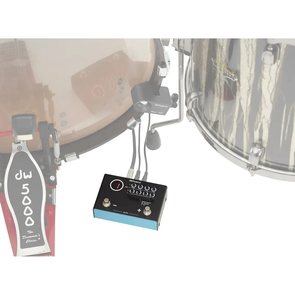 Roland TM-1 Dual Input Trigger Module with WAV Manager Application