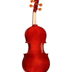 Rozanna's Violins Butterfly Rose Tattoo Series Violin Outfit 3/4
