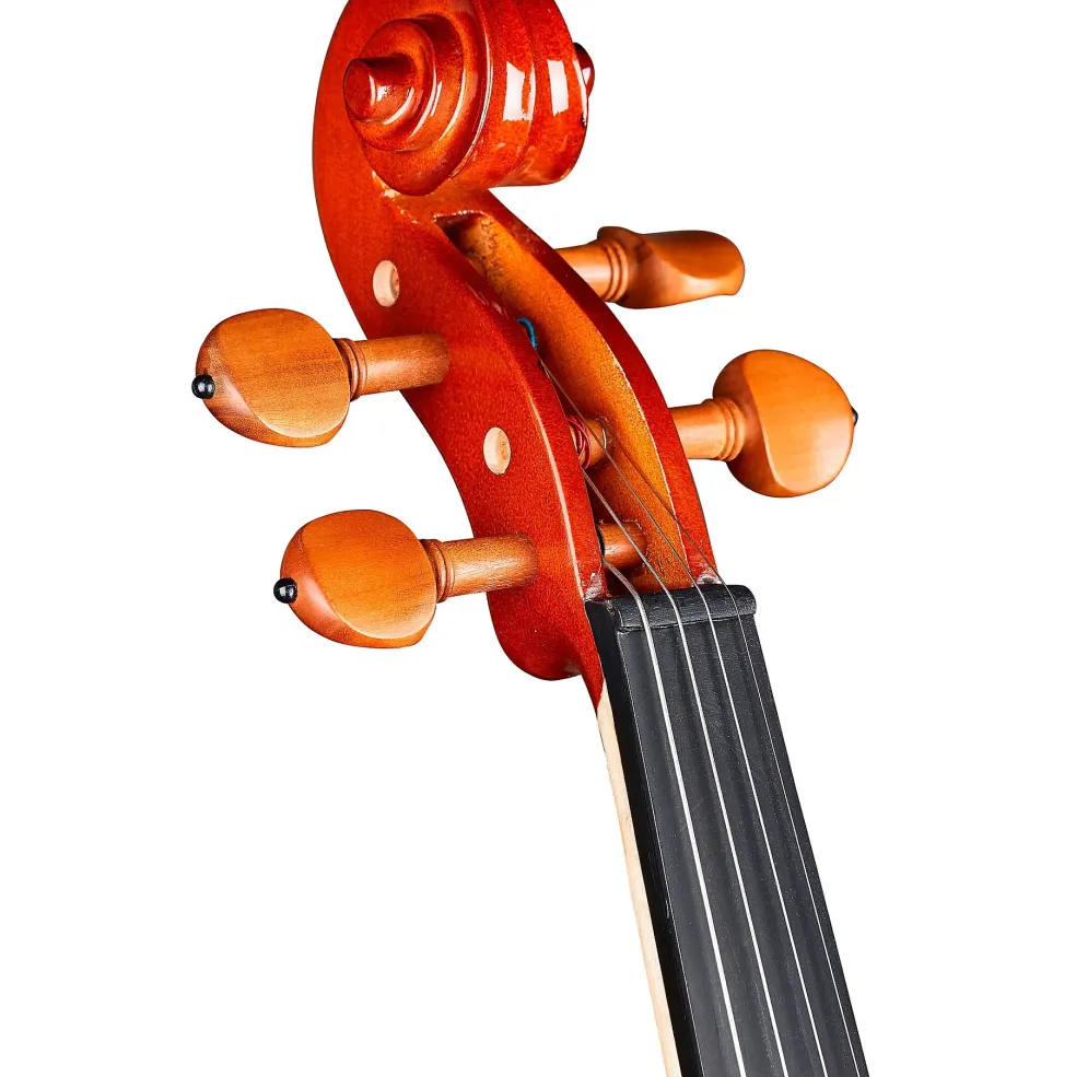 Rozanna's Violins Butterfly Rose Tattoo Series Violin Outfit 3/4