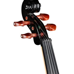 Rozanna's Violins Dragon Spirit Violin Outfit 4/4
