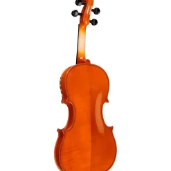 Rozanna's Violins Lion Spirit Violin Outfit 4/4