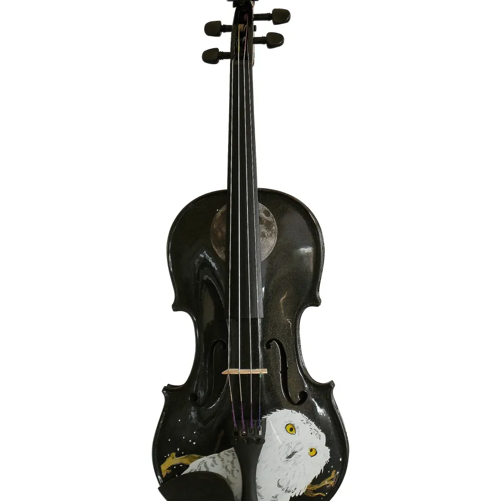 Rozanna's Violins Mystic Owl Black Glitter Series Violin Outfit 1/4