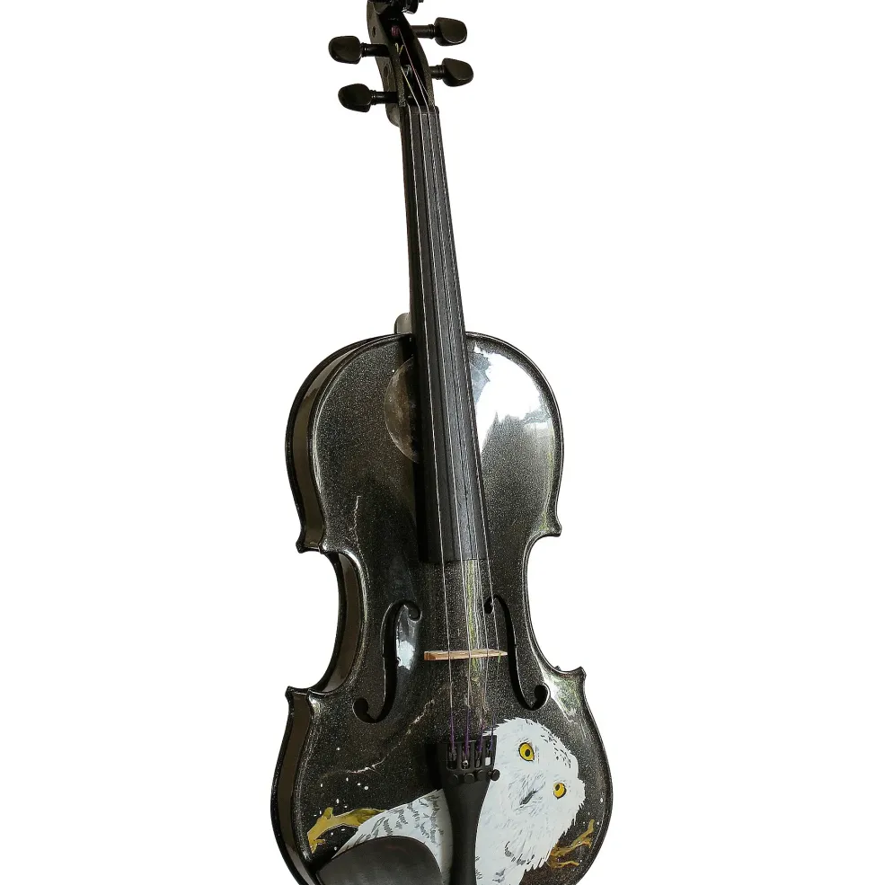 Rozanna's Violins Mystic Owl Black Glitter Series Violin Outfit 1/4
