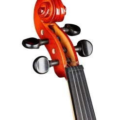 Rozanna's Violins Panda Bear Series Violin Outfit 4/4