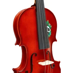 Rozanna's Violins Panda Bear Series Violin Outfit 4/4