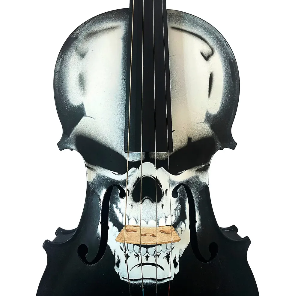 Rozanna's Violins Skull Series Carbon Composite Violin Outfit 4/4