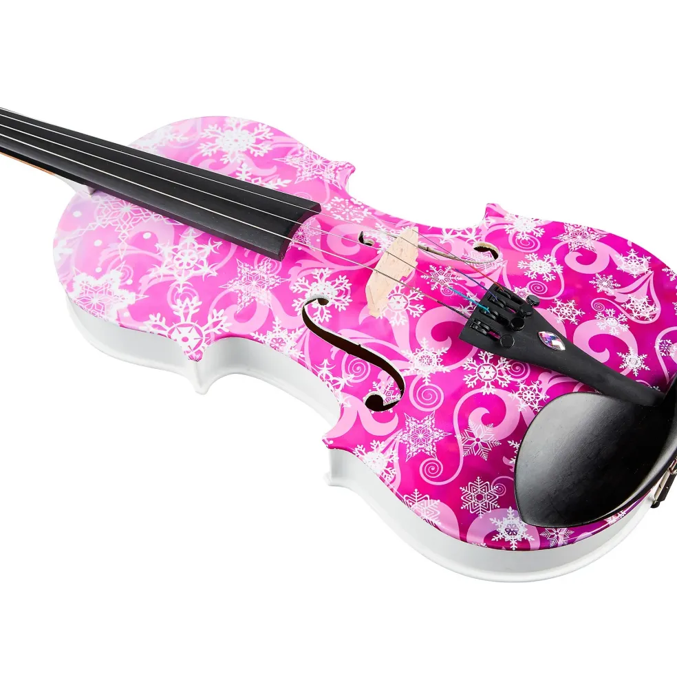 Rozanna's Violins Snowflake II Series Violin Outfit 3/4