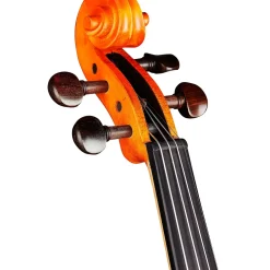 Rozanna's Violins Sunflower Delight Series Violin Outfit 4/4 Size