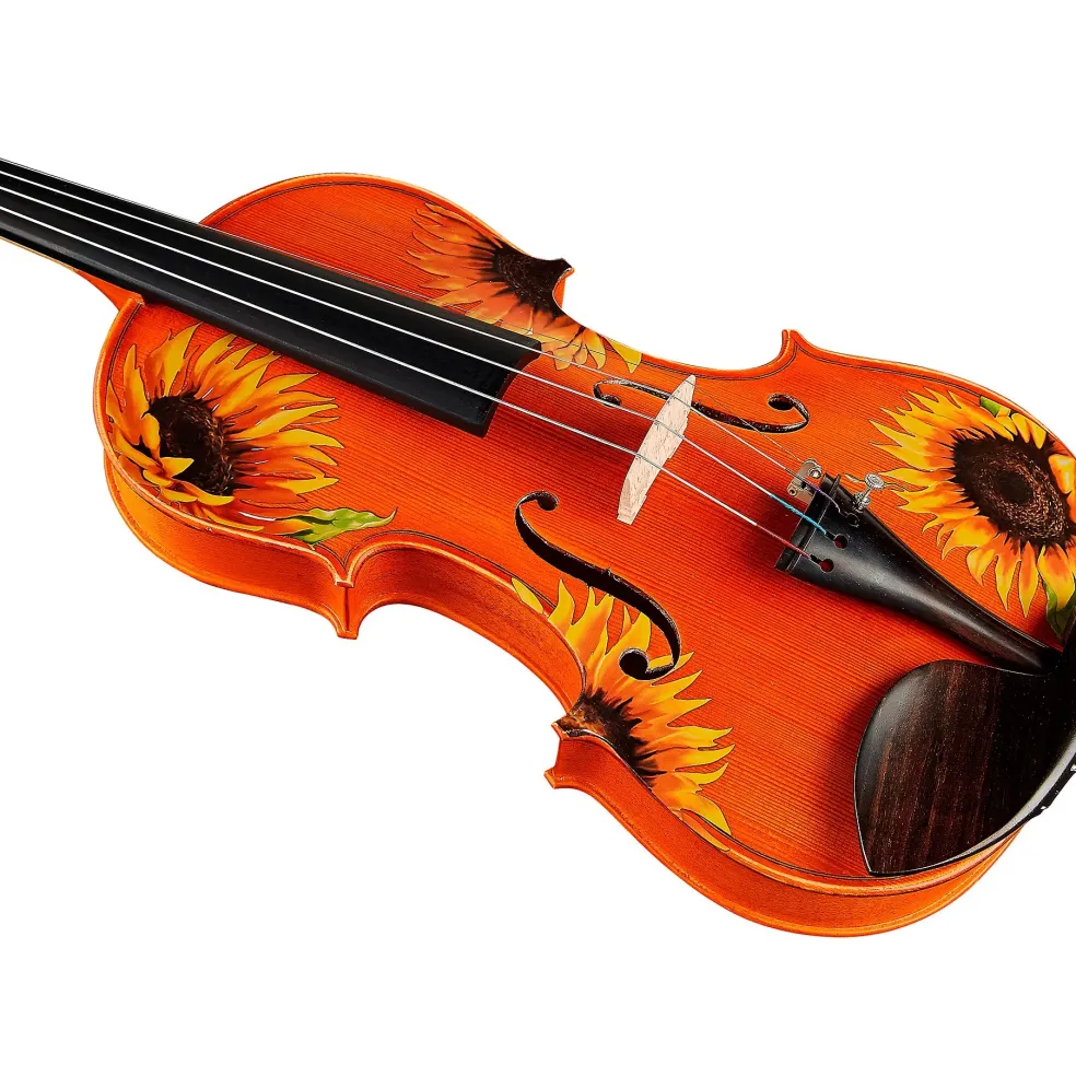 Rozanna's Violins Sunflower Delight Series Violin Outfit 4/4 Size