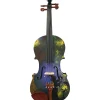 Rozanna's Violins Wizard Series Violin Outfit 4/4