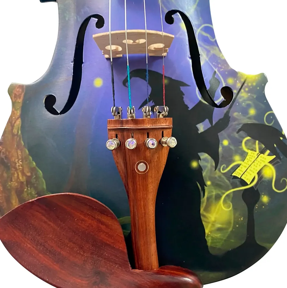 Rozanna's Violins Wizard Series Violin Outfit 4/4