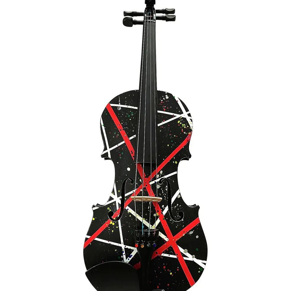 Rozanna's Violins Wrap Splat Series Violin Outfit 4/4