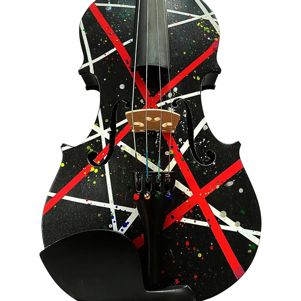Rozanna's Violins Wrap Splat Series Violin Outfit 4/4