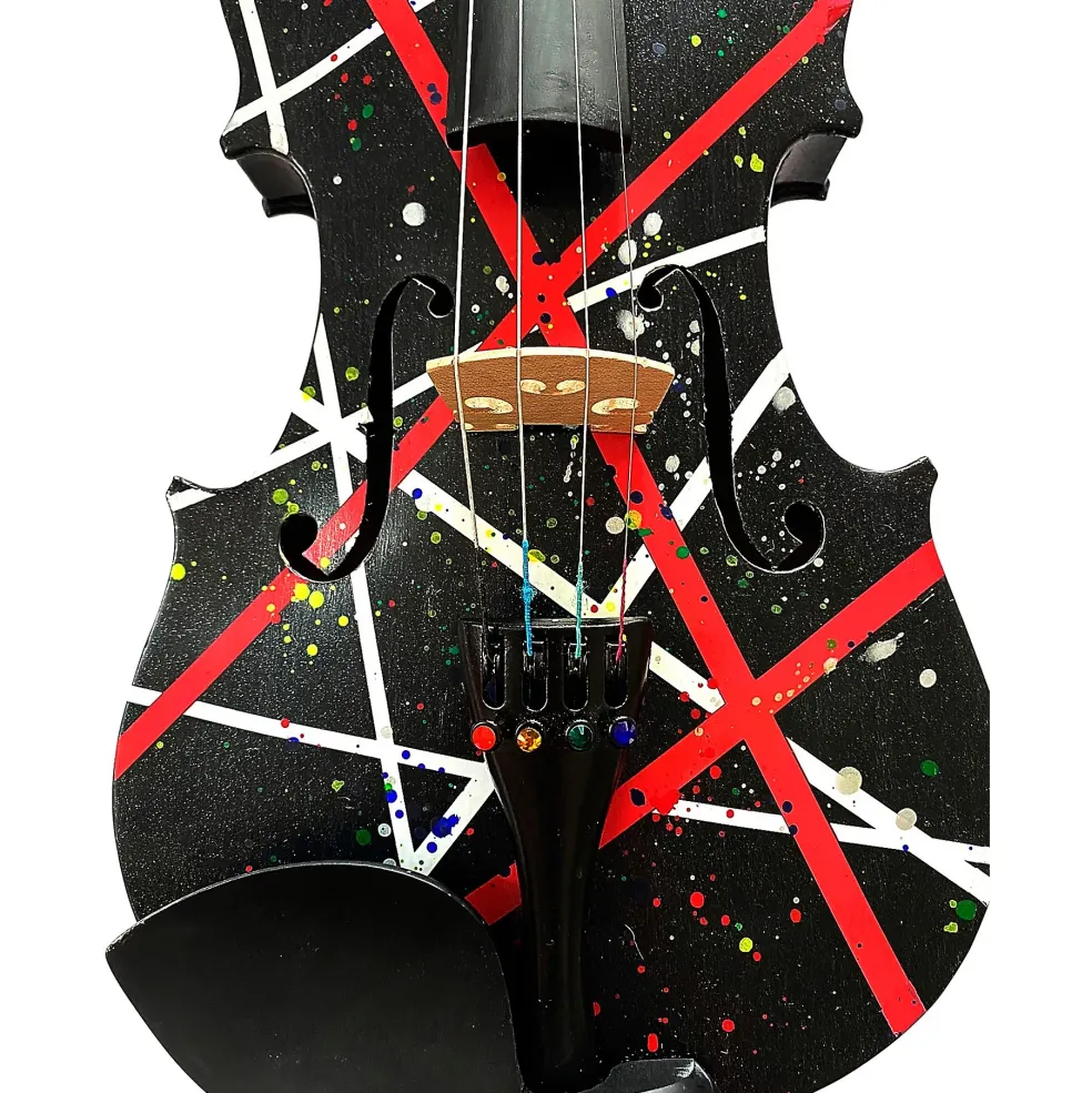 Rozanna's Violins Wrap Splat Series Violin Outfit 4/4