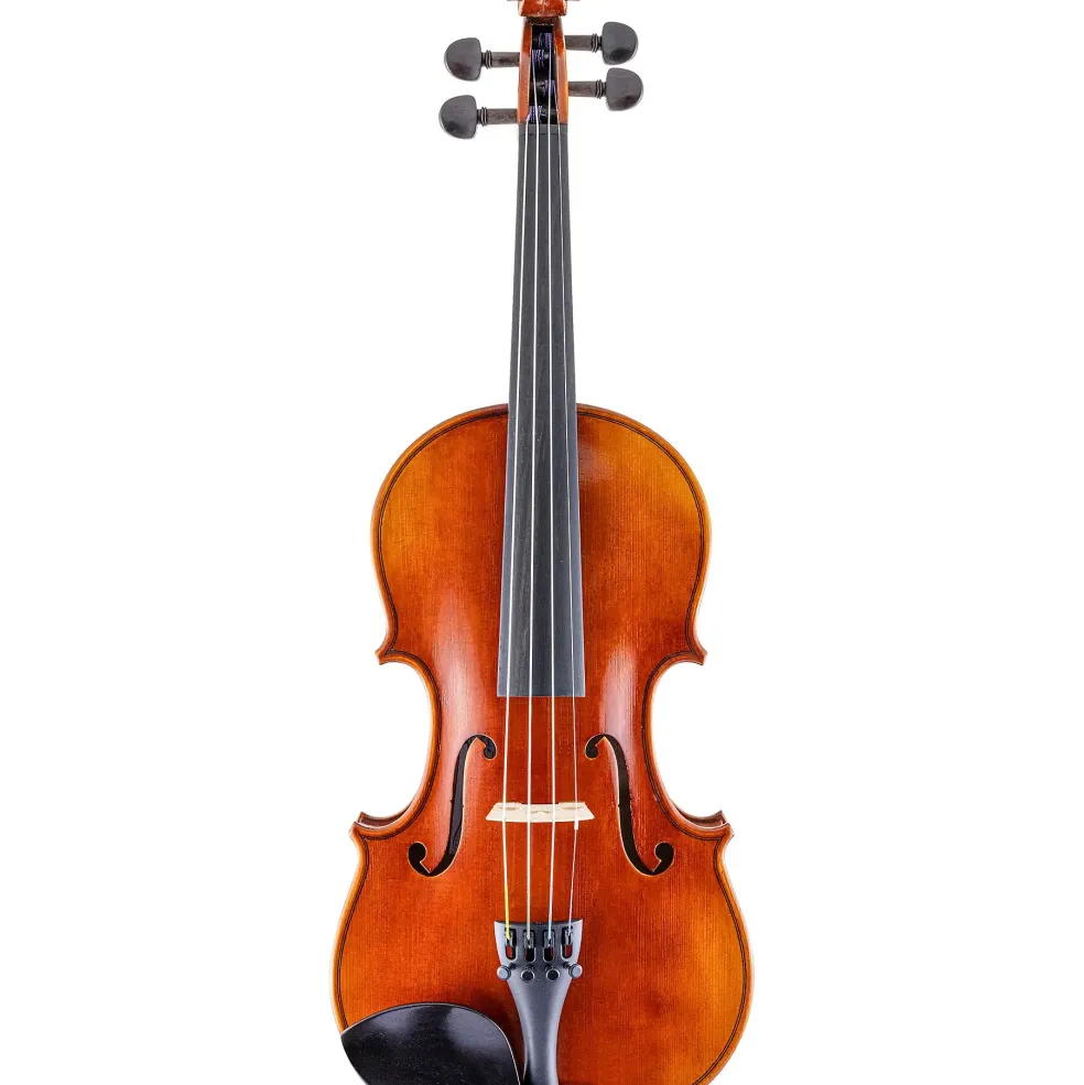 Scherl and Roth SR61 Sarabande Series Intermediate Violin Outfit 4/4