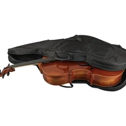 Scherl and Roth SR62 Sarabande Series Intermediate Viola Outfit 16 in.