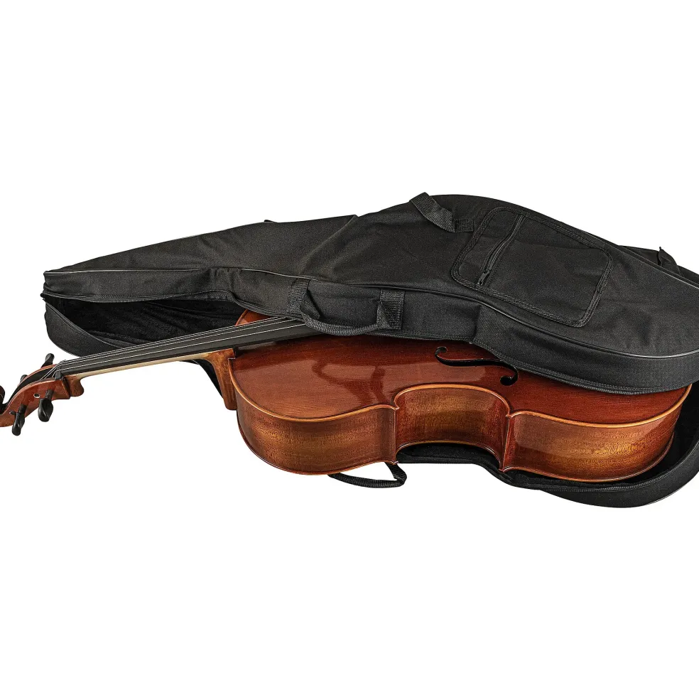 Scherl and Roth SR62 Sarabande Series Intermediate Viola Outfit 16 in.