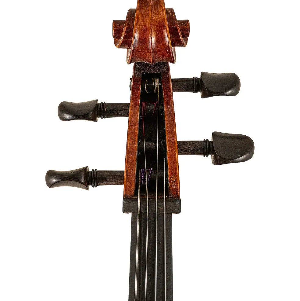 Scherl and Roth SR65 Sarabande Series Intermediate Cello Outfit 4/4